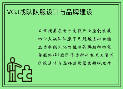 VGJ战队队服设计与品牌建设