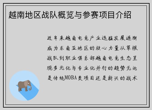 越南地区战队概览与参赛项目介绍