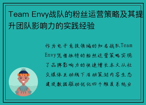 Team Envy战队的粉丝运营策略及其提升团队影响力的实践经验